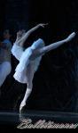 ‘El lago de los Cisnes’. Pase gráfico del Ballet Imperial Ruso.