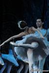 ‘El lago de los Cisnes’. Pase gráfico del Ballet Imperial Ruso.