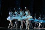 ‘El lago de los Cisnes’. Pase gráfico del Ballet Imperial Ruso.