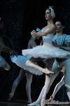 ‘El lago de los Cisnes’. Pase gráfico del Ballet Imperial Ruso.