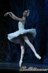 ‘El lago de los Cisnes’. Pase gráfico del Ballet Imperial Ruso.