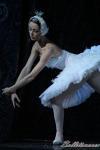‘El lago de los Cisnes’. Pase gráfico del Ballet Imperial Ruso.
