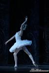 ‘El lago de los Cisnes’. Pase gráfico del Ballet Imperial Ruso.
