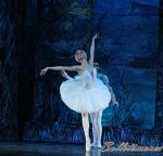 ‘El lago de los Cisnes’. Pase gráfico del Ballet Imperial Ruso.