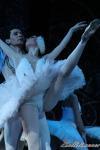 ‘El lago de los Cisnes’. Pase gráfico del Ballet Imperial Ruso.