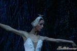‘El lago de los Cisnes’. Pase gráfico del Ballet Imperial Ruso.