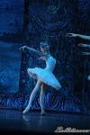 ‘El lago de los Cisnes’. Pase gráfico del Ballet Imperial Ruso.