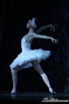 ‘El lago de los Cisnes’. Pase gráfico del Ballet Imperial Ruso.