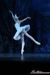 ‘El lago de los Cisnes’. Pase gráfico del Ballet Imperial Ruso.