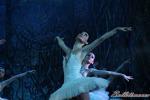 ‘El lago de los Cisnes’. Pase gráfico del Ballet Imperial Ruso.