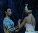 ‘El lago de los Cisnes’. Pase gráfico del Ballet Imperial Ruso.
