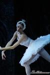 ‘El lago de los Cisnes’. Pase gráfico del Ballet Imperial Ruso.