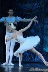 ‘El lago de los Cisnes’. Pase gráfico del Ballet Imperial Ruso.