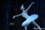 ‘El lago de los Cisnes’. Pase gráfico del Ballet Imperial Ruso.