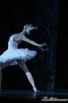 ‘El lago de los Cisnes’. Pase gráfico del Ballet Imperial Ruso.