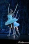 ‘El lago de los Cisnes’. Pase gráfico del Ballet Imperial Ruso.