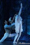 ‘El lago de los Cisnes’. Pase gráfico del Ballet Imperial Ruso.