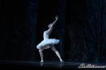 ‘El lago de los Cisnes’. Pase gráfico del Ballet Imperial Ruso.