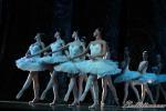 ‘El lago de los Cisnes’. Pase gráfico del Ballet Imperial Ruso.