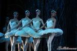 ‘El lago de los Cisnes’. Pase gráfico del Ballet Imperial Ruso.