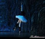 ‘El lago de los Cisnes’. Pase gráfico del Ballet Imperial Ruso.
