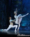 ‘El lago de los Cisnes’. Pase gráfico del Ballet Imperial Ruso.