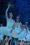 ‘El lago de los Cisnes’. Pase gráfico del Ballet Imperial Ruso.