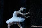 ‘El lago de los Cisnes’. Pase gráfico del Ballet Imperial Ruso.