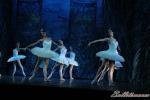 ‘El lago de los Cisnes’. Pase gráfico del Ballet Imperial Ruso.