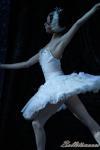 ‘El lago de los Cisnes’. Pase gráfico del Ballet Imperial Ruso.