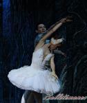 ‘El lago de los Cisnes’. Pase gráfico del Ballet Imperial Ruso.