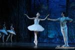 ‘El lago de los Cisnes’. Pase gráfico del Ballet Imperial Ruso.