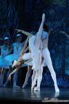 ‘El lago de los Cisnes’. Pase gráfico del Ballet Imperial Ruso.