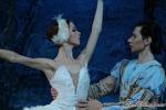 ‘El lago de los Cisnes’. Pase gráfico del Ballet Imperial Ruso.