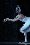 ‘El lago de los Cisnes’. Pase gráfico del Ballet Imperial Ruso.