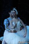 ‘El lago de los Cisnes’. Pase gráfico del Ballet Imperial Ruso.