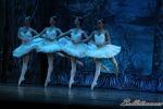 ‘El lago de los Cisnes’. Pase gráfico del Ballet Imperial Ruso.