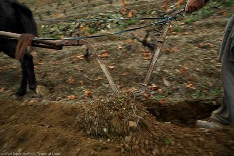 Llaurant al Priorat 2012 by Rafael López-Monné