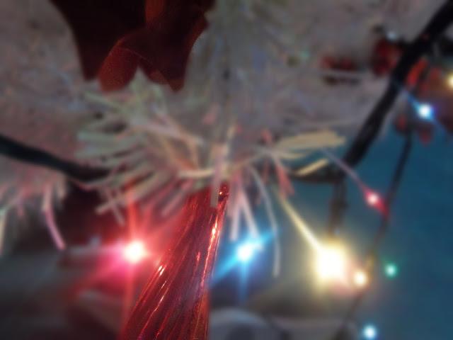 Red flowers in the night