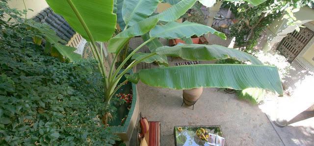 2013 en verde esmeralda