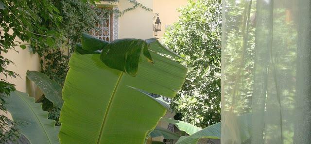 2013 en verde esmeralda