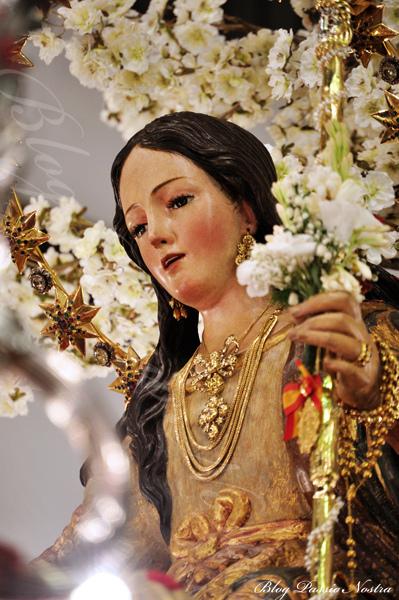 Éxito de nuestro blog en el último mes