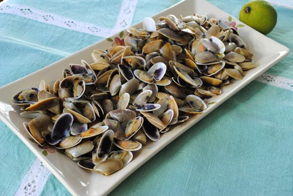 Coquinas a la manzanilla y una receta base:picada de ajo y perejil