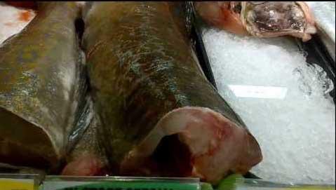 pez zombie en una pescadería