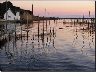 Parque natural de la Albufera de Valencia.