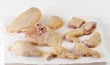 Parque natural de la Albufera de Valencia.