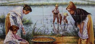 Parque natural de la Albufera de Valencia.