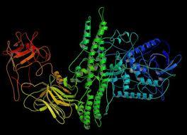 Cosmética molecular