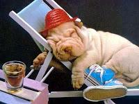 En tratamiento de cáncer