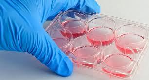 En tratamiento de cáncer